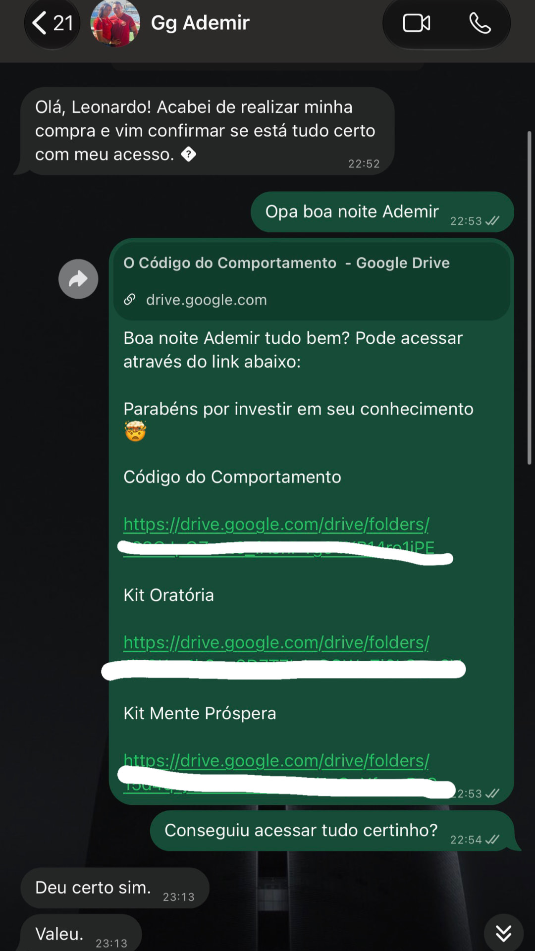 Conversa de WhatsApp com cliente recebendo o acesso aos livros